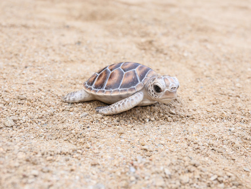 Sea Turtle Statue HI-LINE GIFT LTD.