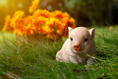 Chubby Piglet Sitting-Pink Statue HI-LINE GIFT LTD.