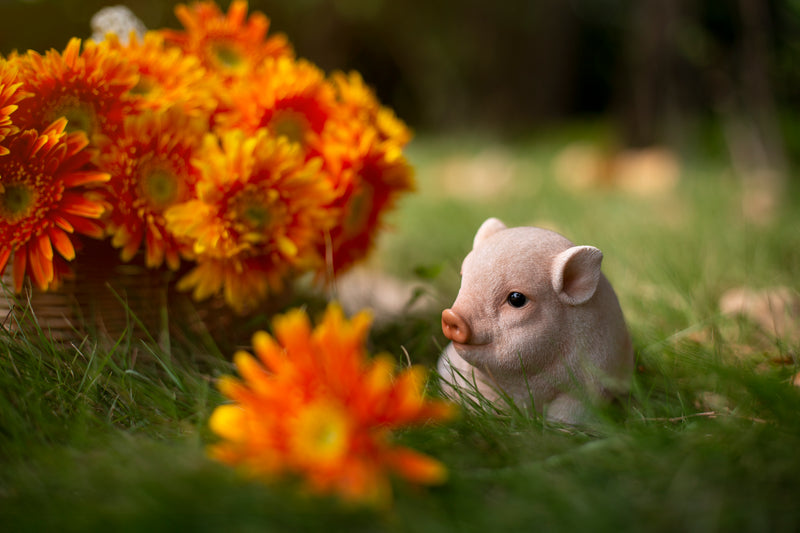 Chubby Piglet Sitting-Pink Statue HI-LINE GIFT LTD.