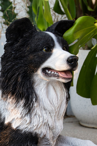 Lying Border Collie HI-LINE GIFT LTD.