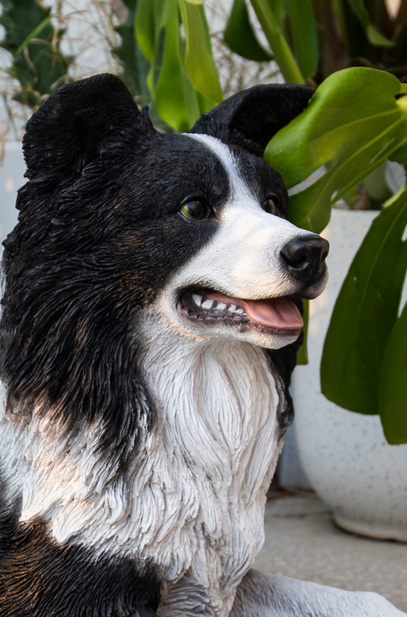 Lying Border Collie HI-LINE GIFT LTD.