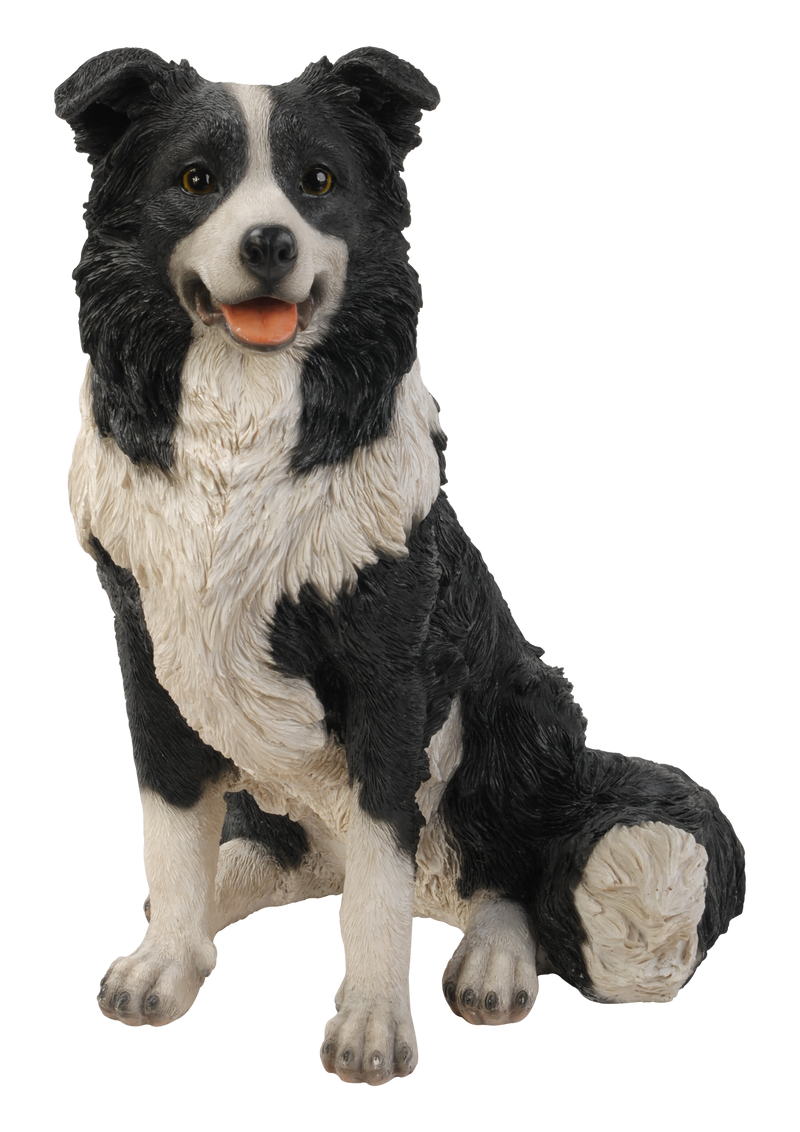 Border Collie Sitting Statue HI-LINE GIFT LTD.