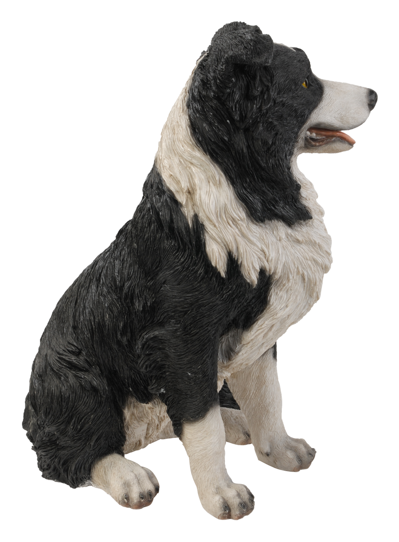 Border Collie Sitting Statue HI-LINE GIFT LTD.