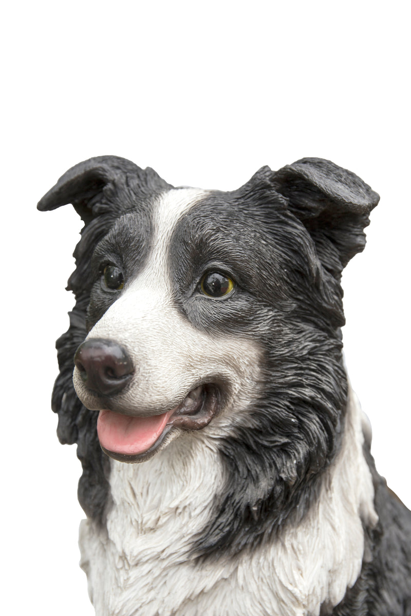 Border Collie Sitting Statue HI-LINE GIFT LTD.