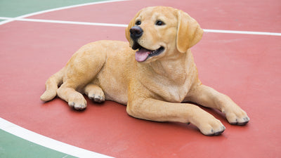 Labrador Retriever Lying Down - Yellow Statue HI-LINE GIFT LTD.