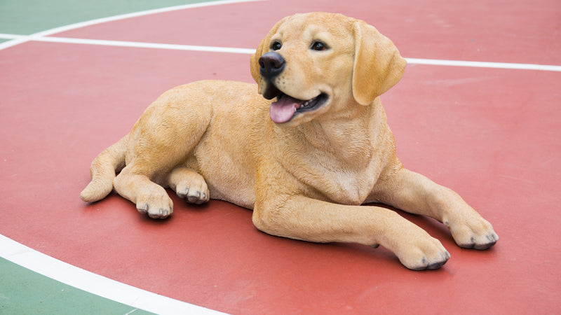 Labrador Retriever Lying Down - Yellow Statue HI-LINE GIFT LTD.