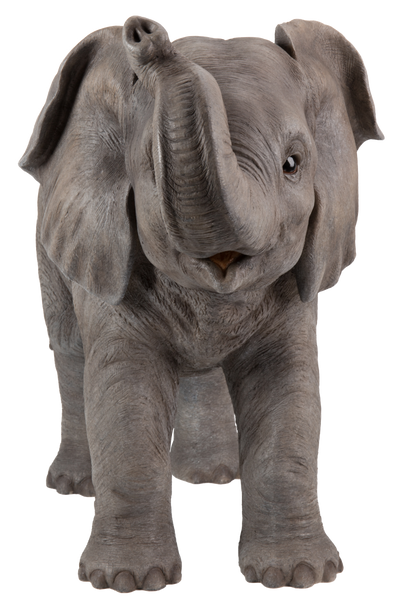 Elephant With  Trunk Up Hi-Line Gift Ltd.