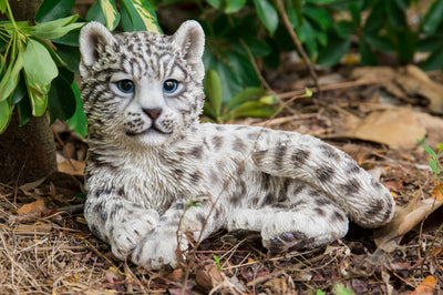 Snow Leopard Cub Statue HI-LINE GIFT LTD.