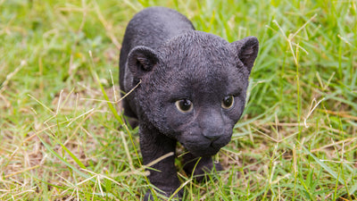 Black Panther Cub HI-LINE GIFT LTD.