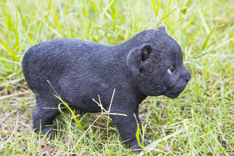 Black Panther Cub HI-LINE GIFT LTD.