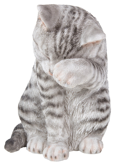 Grey Tabby Cat American Shorthair Washing Hi-Line Gift Ltd.