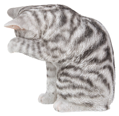 Grey Tabby Cat American Shorthair Washing Hi-Line Gift Ltd.