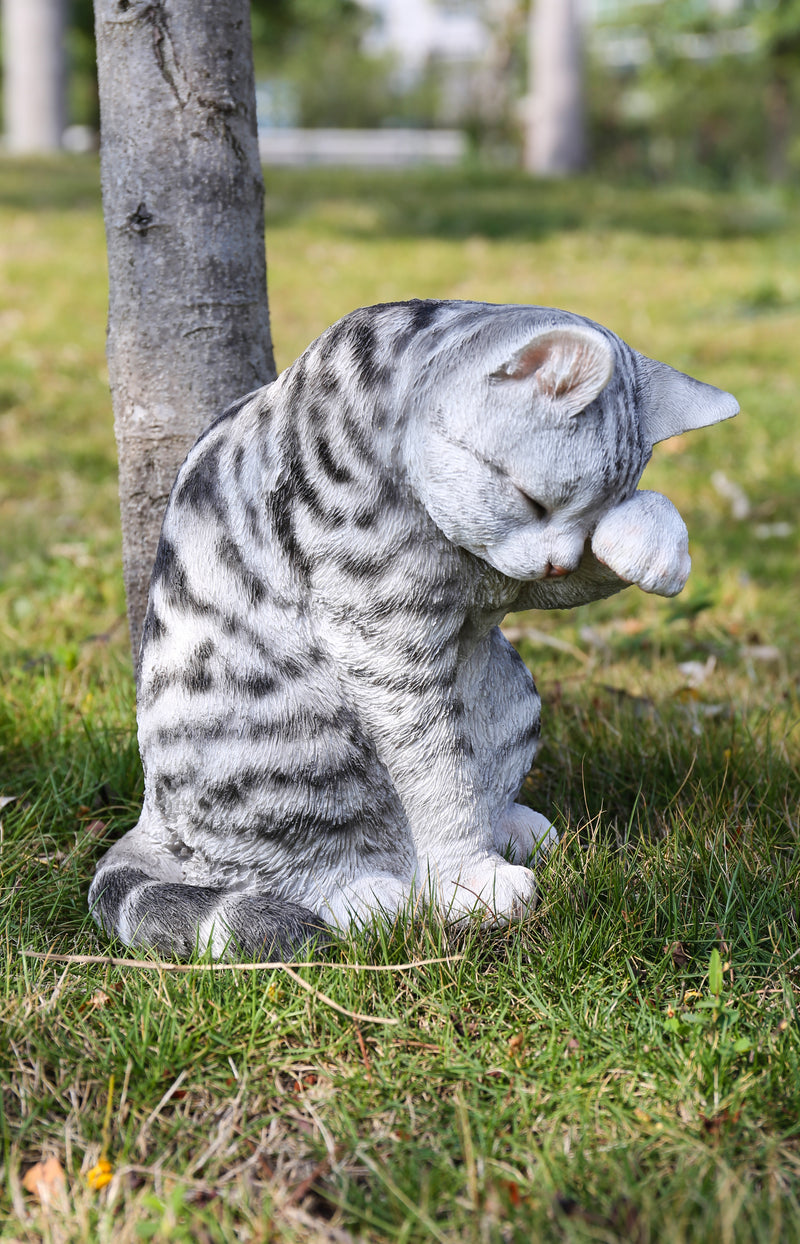 Grey Tabby Cat American Shorthair Washing Hi-Line Gift Ltd.