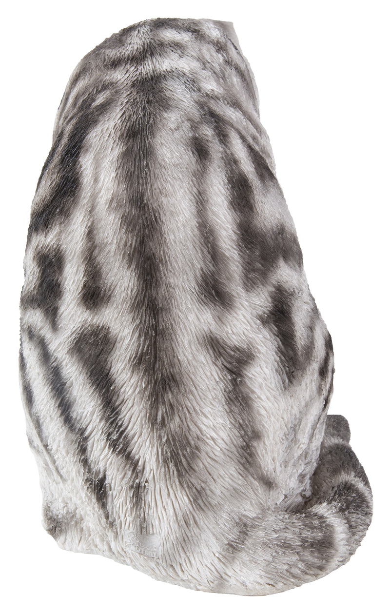 Grey Tabby Cat American Shorthair Washing Hi-Line Gift Ltd.