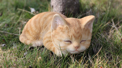 Orange Tabby Kitten Sleeping Hi-Line Gift Ltd.