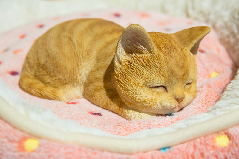 Orange Tabby Kitten Sleeping Hi-Line Gift Ltd.