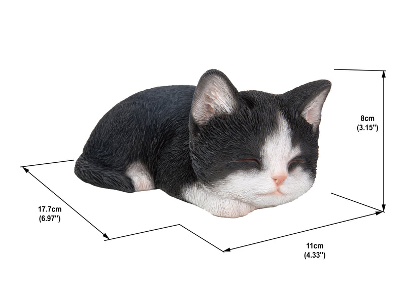 Kitten Sleeping - Black and White Statue HI-LINE GIFT LTD.