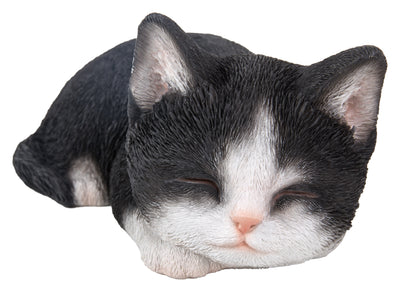 Kitten Sleeping - Black and White Statue HI-LINE GIFT LTD.