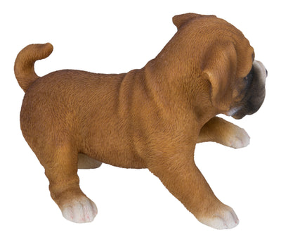 Boxer Puppy Playing Statue HI-LINE GIFT LTD.