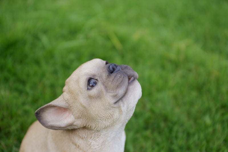 French Bulldog Puppy Howling Statue HI-LINE GIFT LTD.