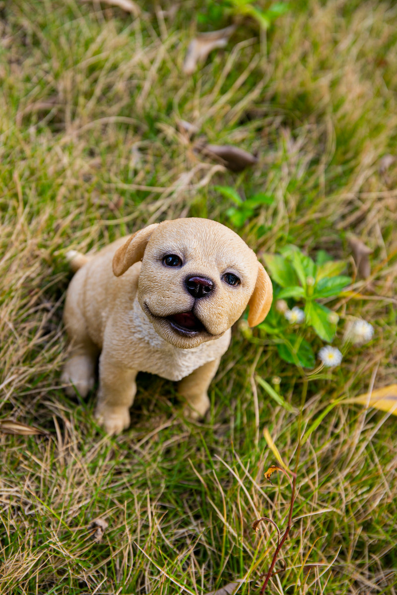 Howling Yellow Labrador Puppy HI-LINE GIFT LTD.