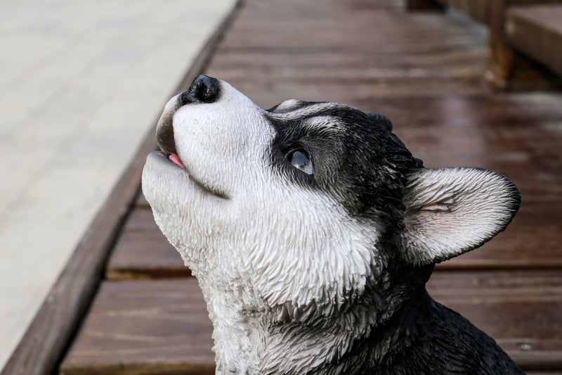 Howling Husky Puppy Statue HI-LINE GIFT LTD.