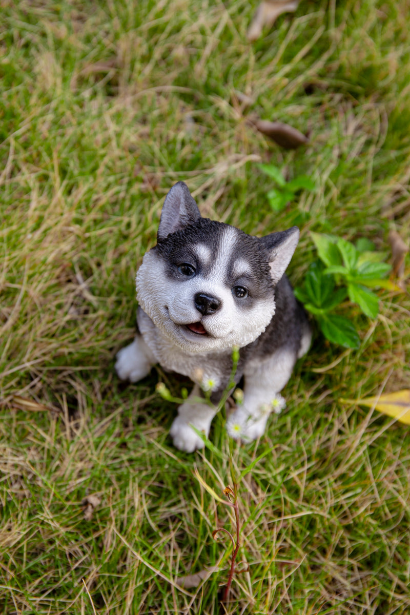 Howling Husky Puppy Statue HI-LINE GIFT LTD.