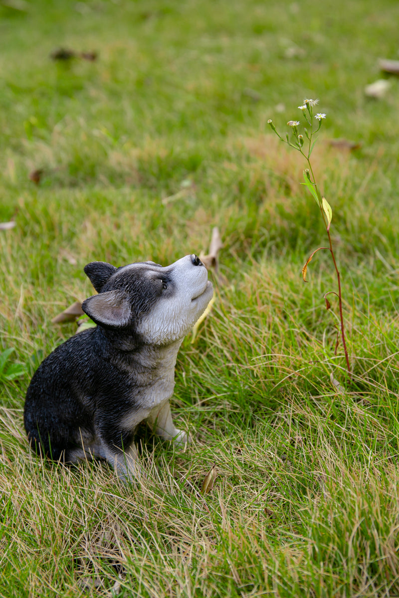 Howling Husky Puppy Statue HI-LINE GIFT LTD.