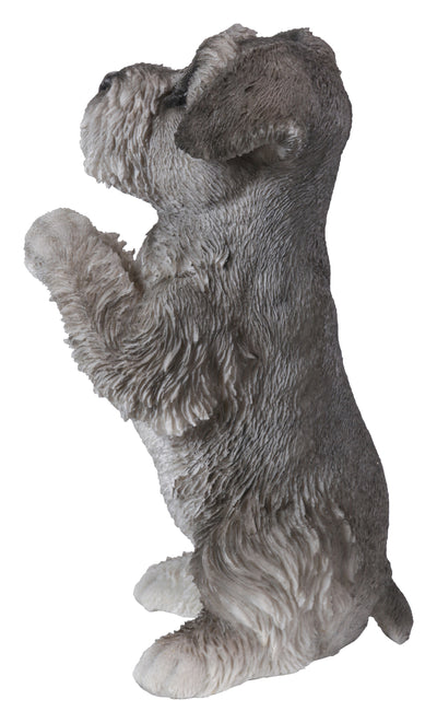 Praying Schnauzer Puppy Statue HI-LINE GIFT LTD.