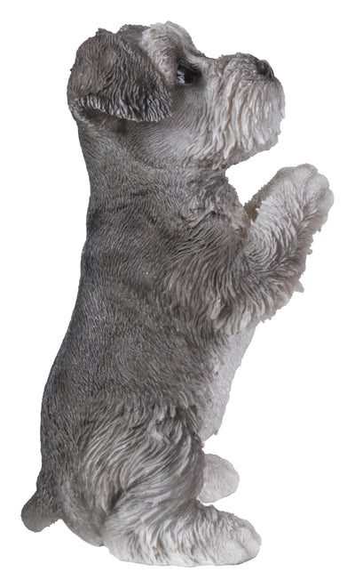 Praying Schnauzer Puppy Statue HI-LINE GIFT LTD.