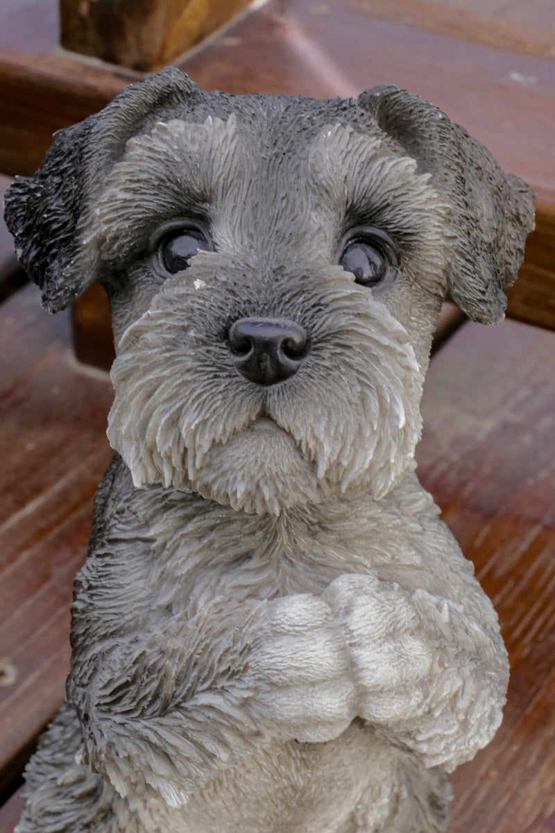 Praying Schnauzer Puppy Statue HI-LINE GIFT LTD.