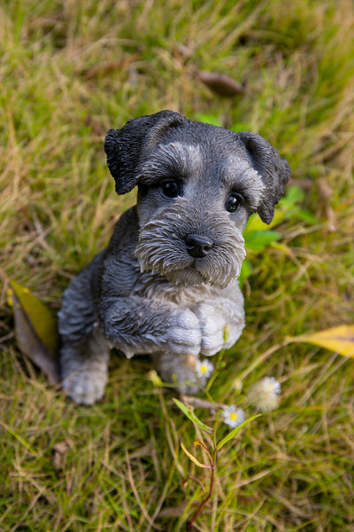 Praying Schnauzer Puppy Statue HI-LINE GIFT LTD.