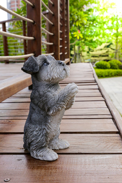 Praying Schnauzer Puppy Statue HI-LINE GIFT LTD.