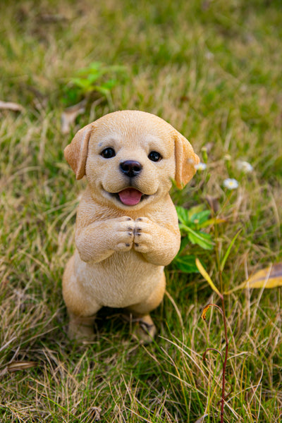 Praying Yellow Labrador Puppy Statue HI-LINE GIFT LTD.