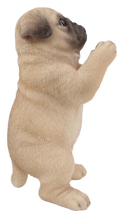 Praying Pug Puppy Statue HI-LINE GIFT LTD.