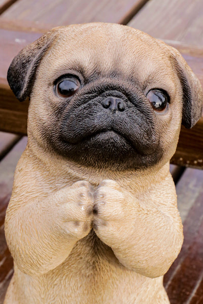 Praying Pug Puppy Statue HI-LINE GIFT LTD.