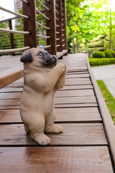 Praying Pug Puppy Statue HI-LINE GIFT LTD.