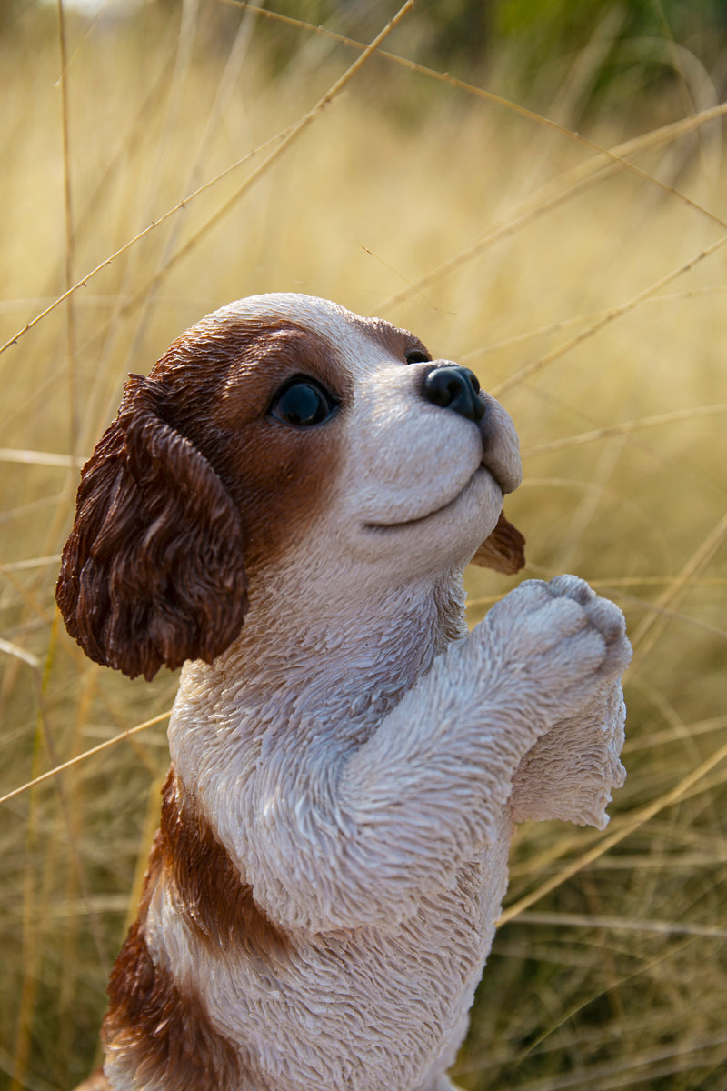 Praying King Charles Puppy Statue HI-LINE GIFT LTD.