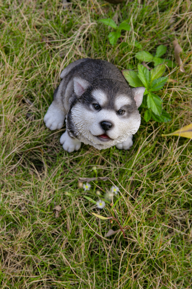 Howling Alaskan Malamute HI-LINE GIFT LTD.