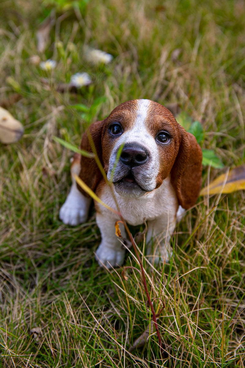 Hi-Line Exclusive - Howling Basset Hound Puppy Statue HI-LINE GIFT LTD.