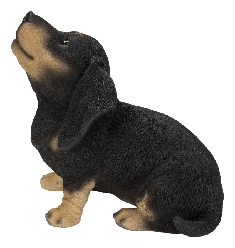 Hi-Line Exclusive - Howling Dachshund Puppy Statue HI-LINE GIFT LTD.