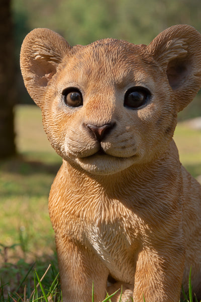 Sitting Lion Cub Statue Hi-Line Gift Ltd.