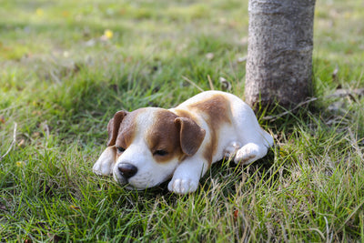 Pet Pals - Jack Russel Puppy Sleeping Statue HI-LINE GIFT LTD.