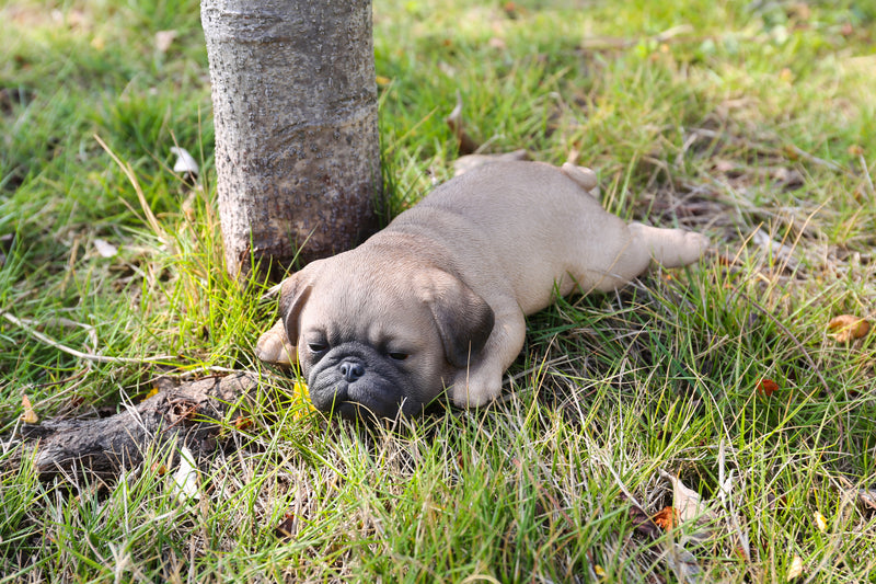 Pug Puppy Sleeping Brown Statue HI-LINE GIFT LTD.