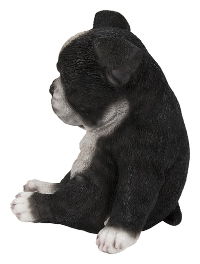 Boston Terrier Sitting Sleepy Statue HI-LINE GIFT LTD.