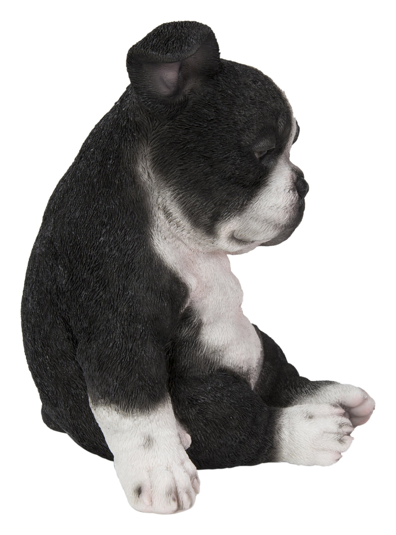 Boston Terrier Sitting Sleepy Statue HI-LINE GIFT LTD.