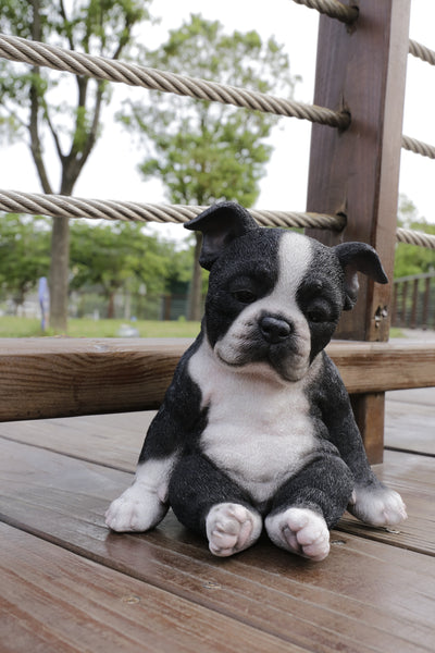 Boston Terrier Sitting Sleepy Statue HI-LINE GIFT LTD.