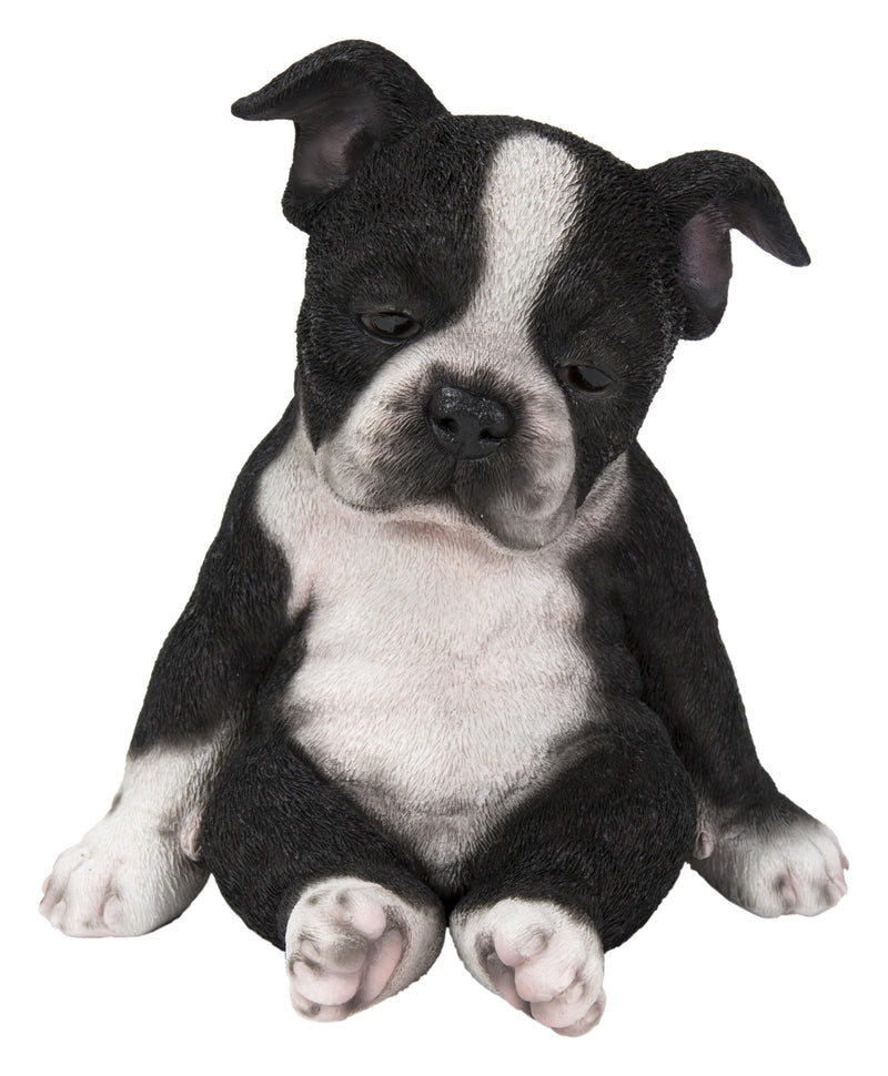 Boston Terrier Sitting Sleepy Statue HI-LINE GIFT LTD.