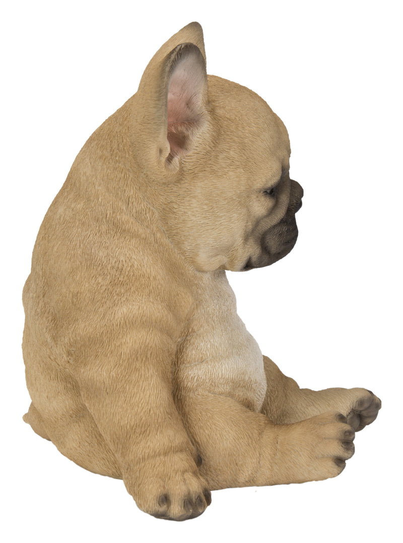 Hi-Line Exclusive - Sitting Sleepy French Bulldog Puppy Statue HI-LINE GIFT LTD.