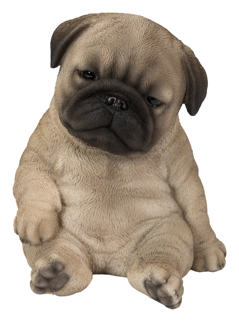 Hi-Line Exclusive - Sitting Sleepy Pug Puppy Statue HI-LINE GIFT LTD.